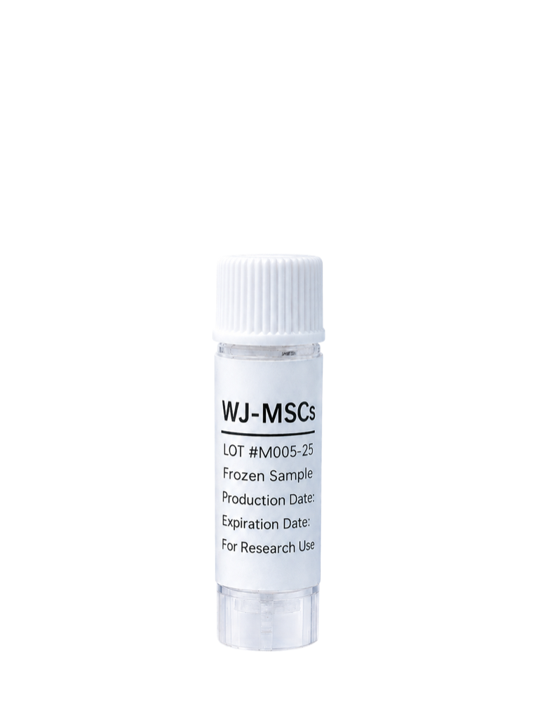 WJ-MSCs